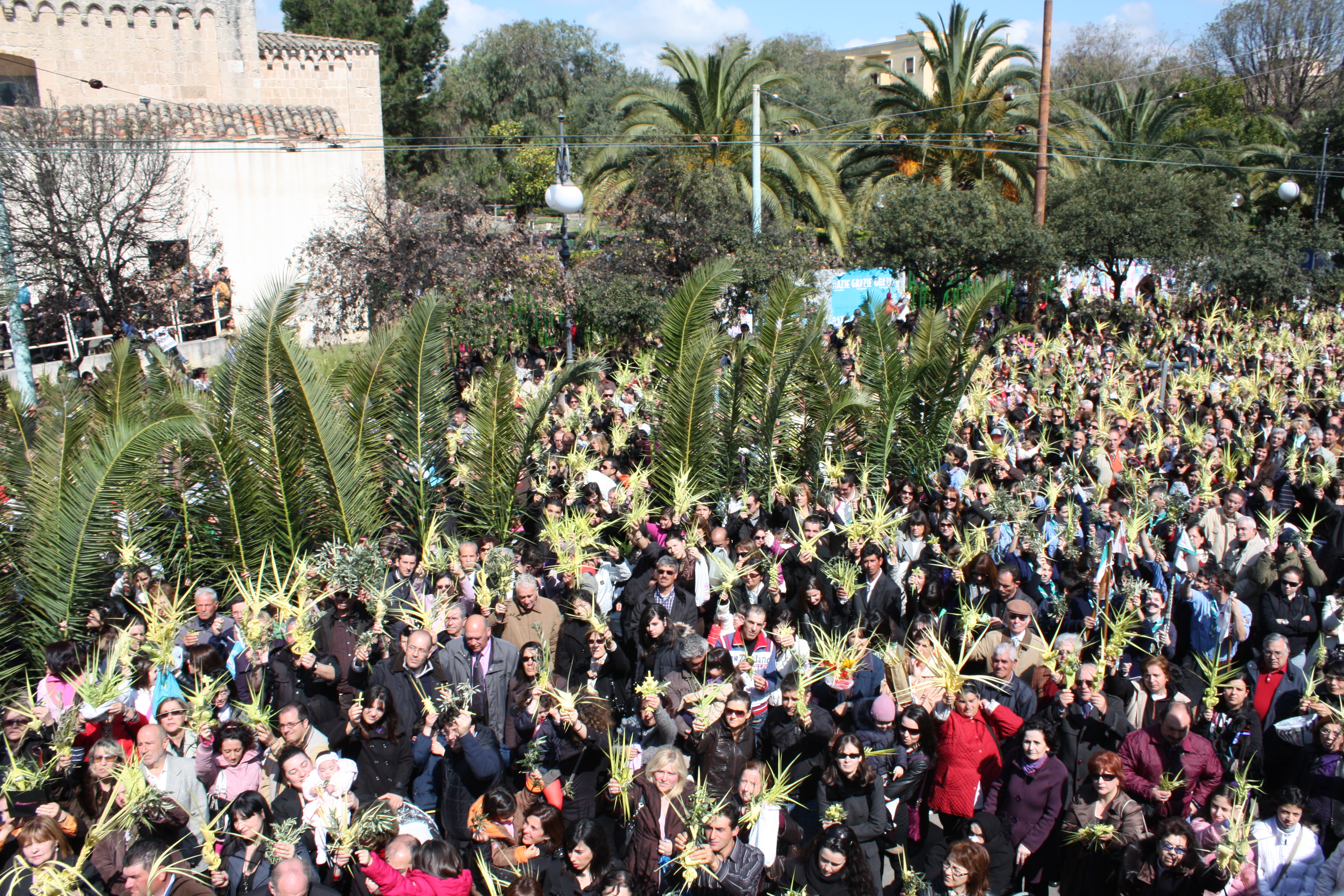 Domenica delle Palme 2014